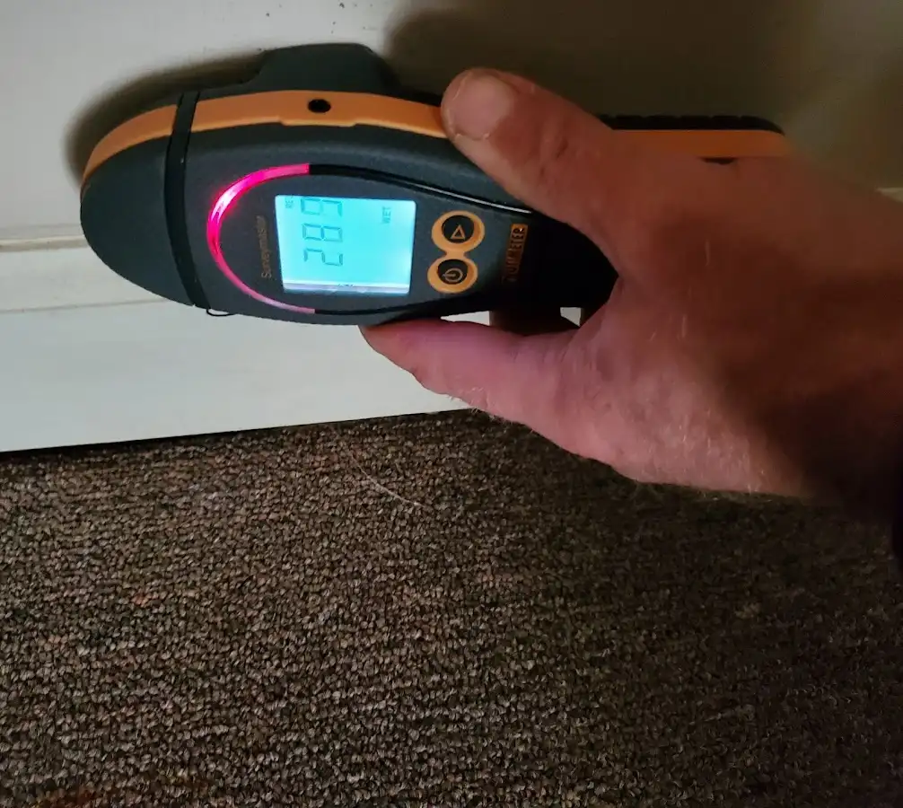 Moisture detection at baseboard during Sewage Cleanup & Sanitation in Colleyville